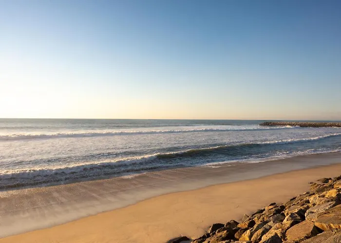 Barramares 4 オヴァール